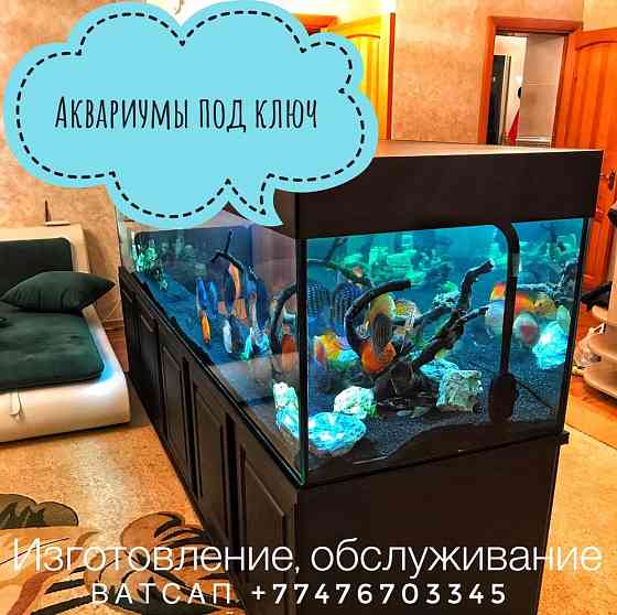 AquaDom.kz - аквариумы под ключ!  отбасы 