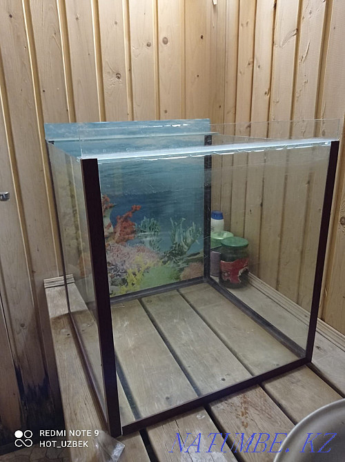 Түрлі аквариумдар Шымкент - изображение 1