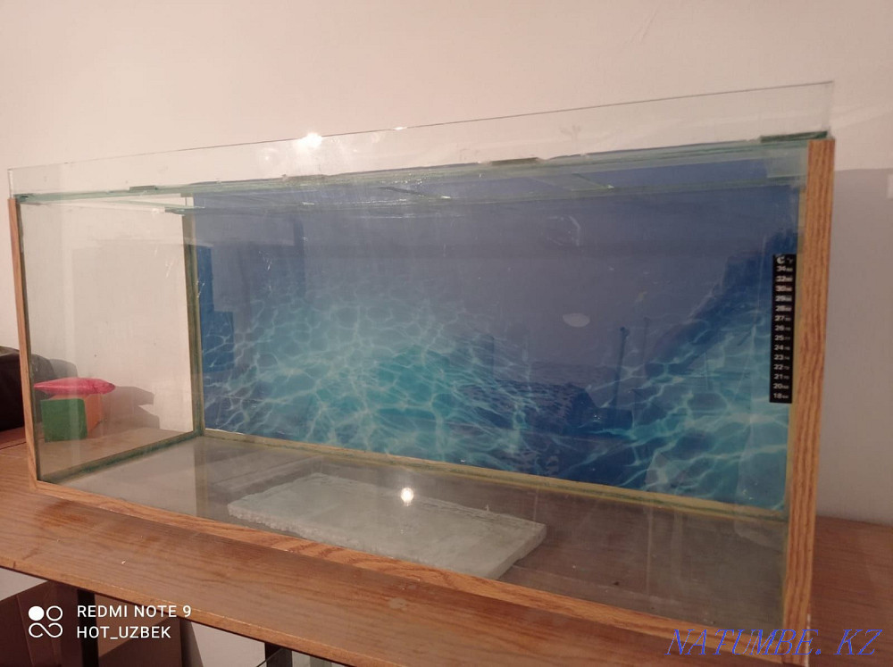 Түрлі аквариумдар Шымкент - изображение 4