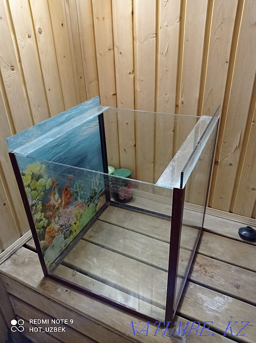 Түрлі аквариумдар Шымкент - изображение 2