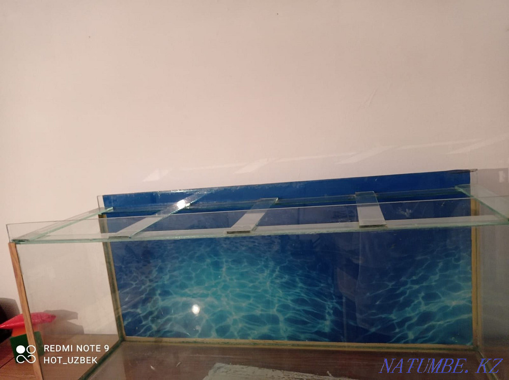 Түрлі аквариумдар Шымкент - изображение 3