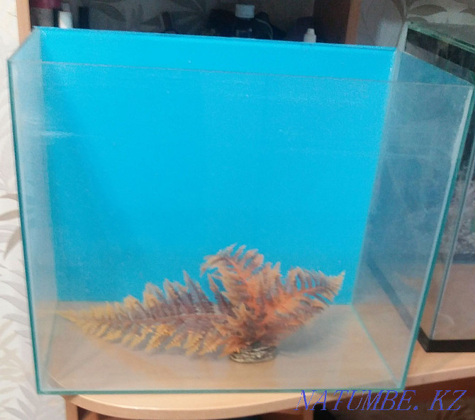 Продам аквариумы,угловой фильтр Актобе - изображение 1