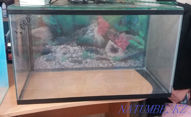 Продам аквариумы,угловой фильтр Актобе - изображение 2