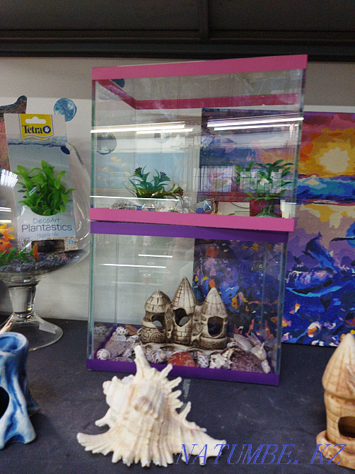 aquariums. Navoi Toraigyrov (above Shahristan) Almaty - photo 2