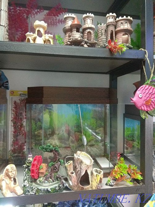 Аквариумы 50л в Афалине. Алматы - изображение 2