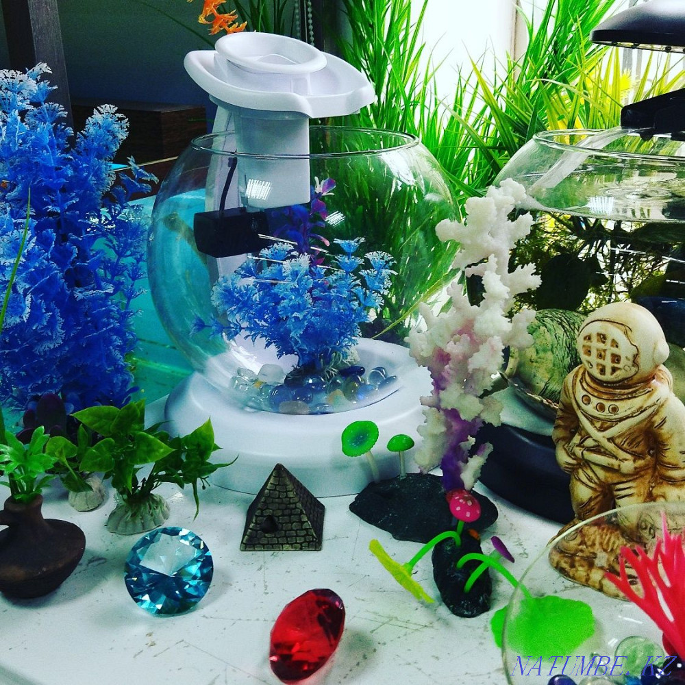 Аквариумы 50л в Афалине. Алматы - изображение 4