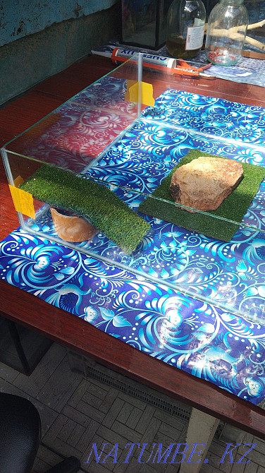 Aquariums and terrariums to order Байтерек - photo 1