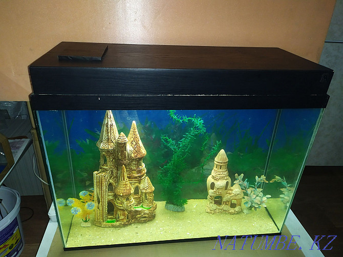 New air compressor. Inexpensive aquariums. Almaty - photo 3