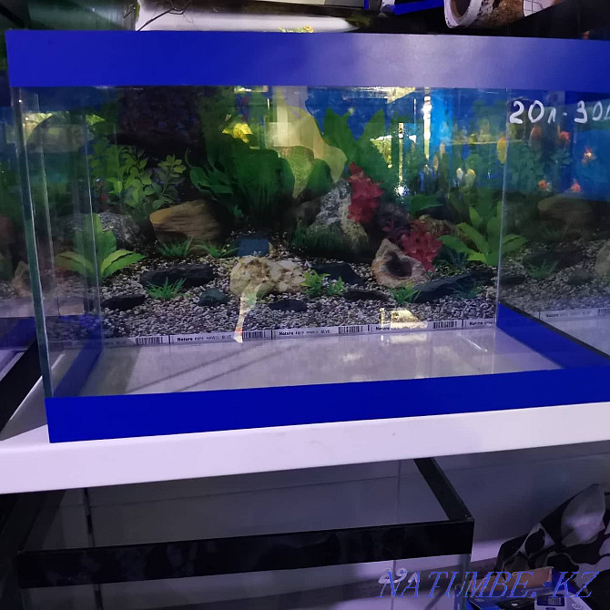 Aquariums in stock and to order Ust-Kamenogorsk - photo 3