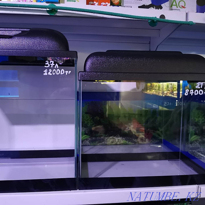 Aquariums in stock and to order Ust-Kamenogorsk - photo 4