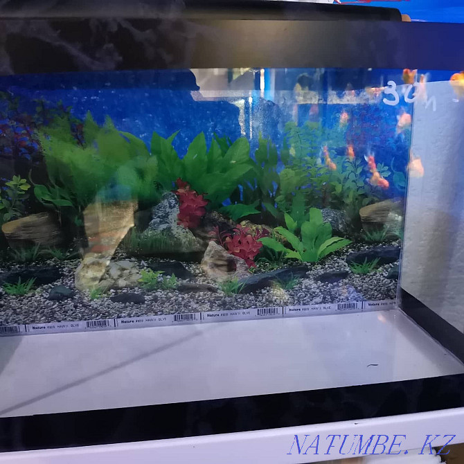 Aquariums in stock and to order Ust-Kamenogorsk - photo 2