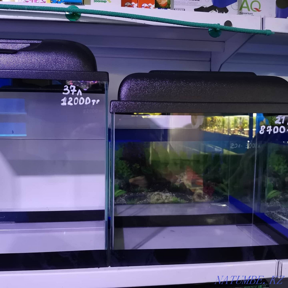 Aquariums in stock and to order Ust-Kamenogorsk - photo 4