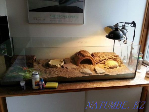 Aquariums and terrariums to order Байтерек - photo 1