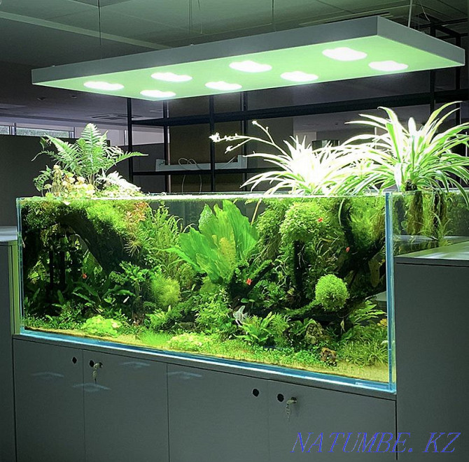 Lighting for aquariums Almaty - photo 4