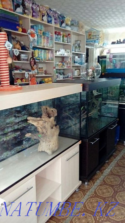 Новые аквариумы по НИЗКИМ ценам Костанай - изображение 4