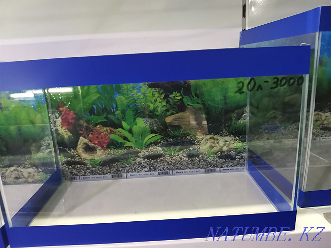 Aquariums in stock and to order. Ust-Kamenogorsk - photo 2