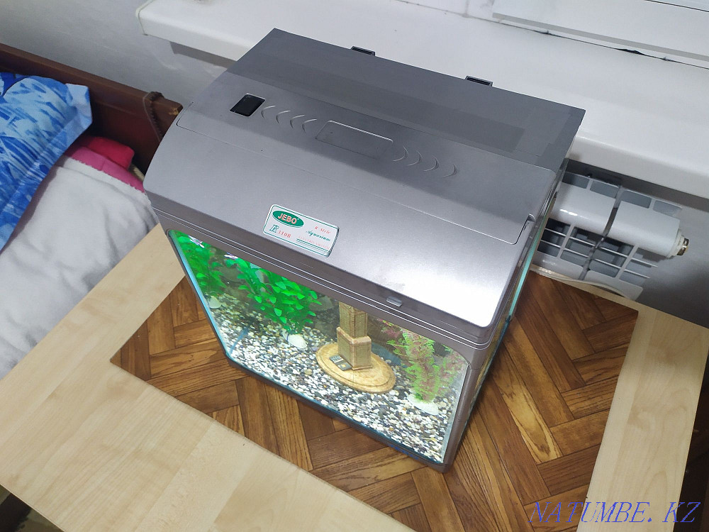 Аквариумное растение Анубиас. Недорогие аквариумы. Алматы - изображение 3