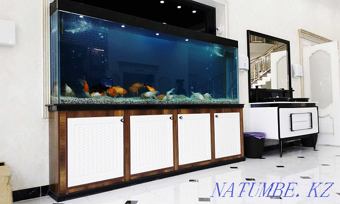 Aquariums interior assembly to order Shymkent - photo 1
