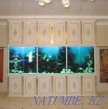 Aquariums interior assembly to order Shymkent - photo 2