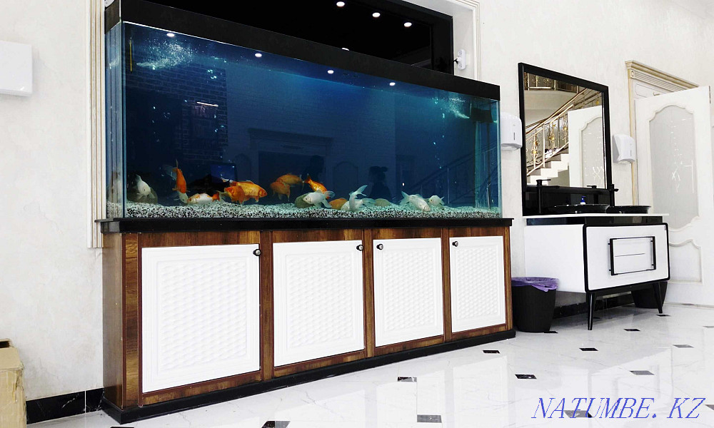 Аквариумы интерьерные сборка на заказ Шымкент - изображение 1
