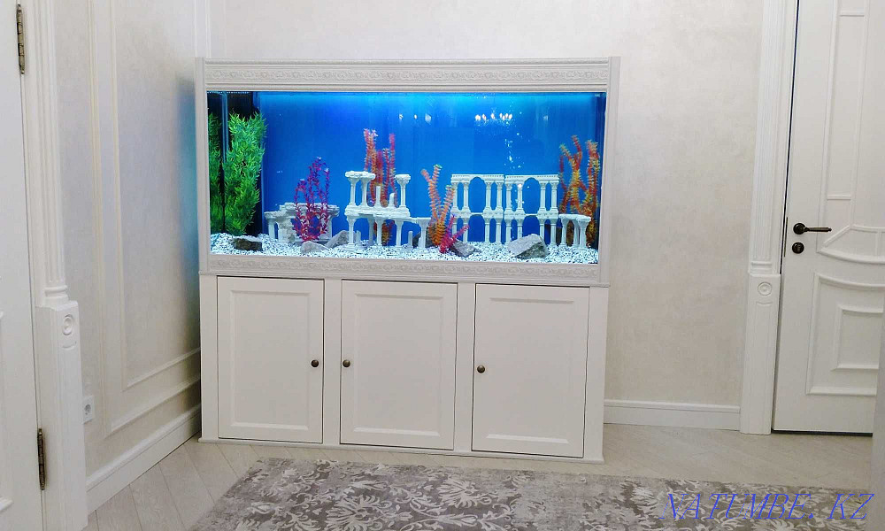 Аквариумы интерьерные сборка на заказ Шымкент - изображение 3