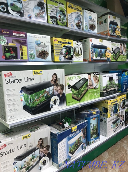 Аквариумдар үй жануарлары дүкендерінде бөліп төлеу "Live Corner"  Алматы - изображение 3