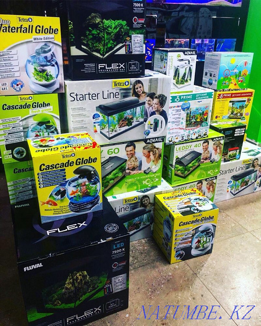 Аквариумдар үй жануарлары дүкендерінде бөліп төлеу "Live Corner"  Алматы - изображение 1