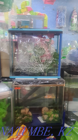 Барлық өлшемдегі аквариумдар Шымкент - изображение 1