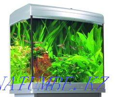 Aquariums Atman in the pet store "LIVOY WORLD" Almaty - photo 1