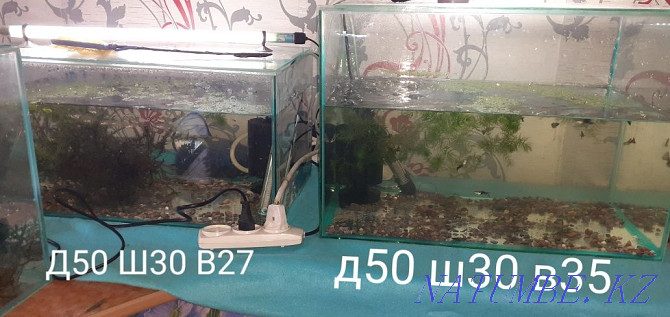 Sell aquariums + gift Shymkent - photo 1