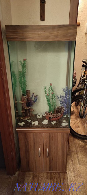 Аквариумдар қоймада және тапсырыс бойынша  Өскемен - изображение 1