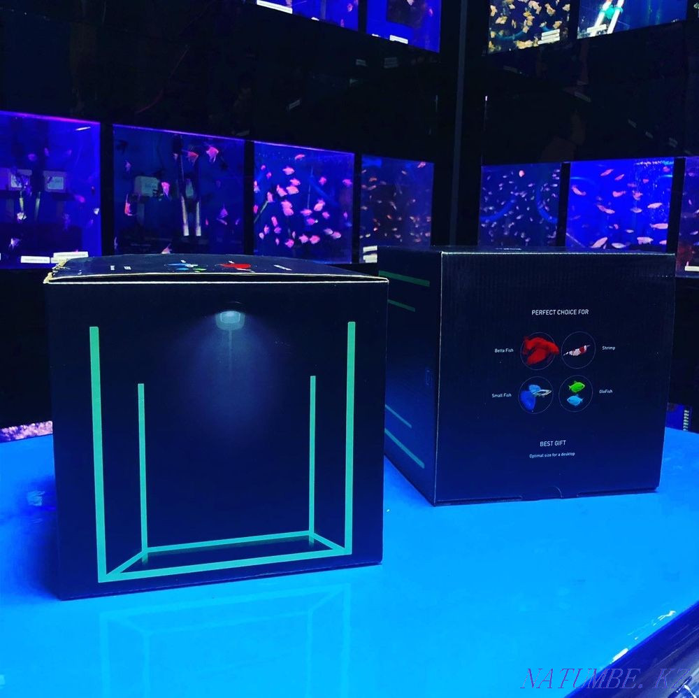 Аквариумы COLLAR в зоомагазине «Живой Уголок» Алматы - изображение 2