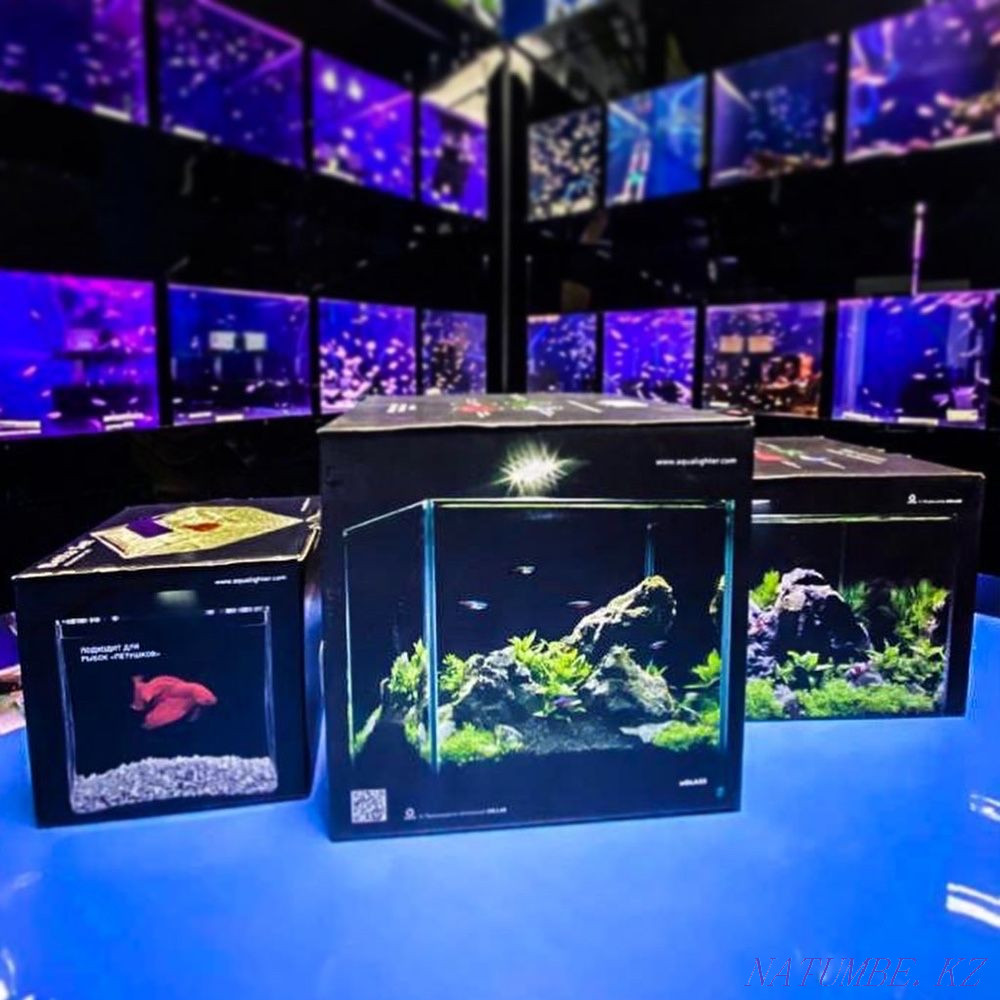 Аквариумы COLLAR в зоомагазине «Живой Уголок» Алматы - изображение 3