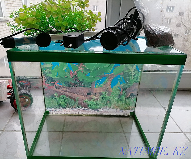 Aquarium 30 l Ust-Kamenogorsk - photo 1