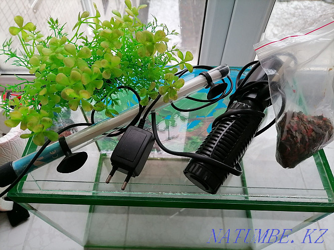 Aquarium 30 l Ust-Kamenogorsk - photo 2