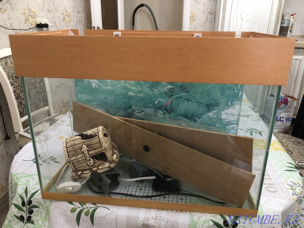 Балықтарға арналған аквариум  Астана - изображение 1