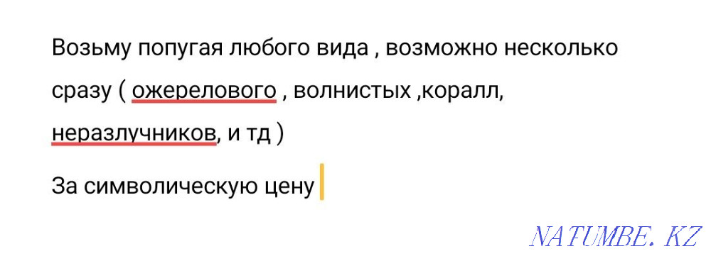 Parrots urgently Ust-Kamenogorsk - photo 1