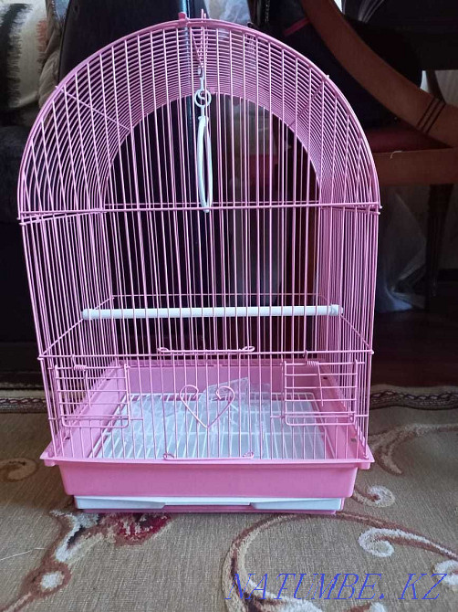 2 жаңа тотықұс торы  Алматы - изображение 2