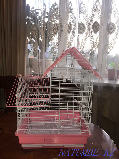 2 жаңа тотықұс торы  Алматы - изображение 1