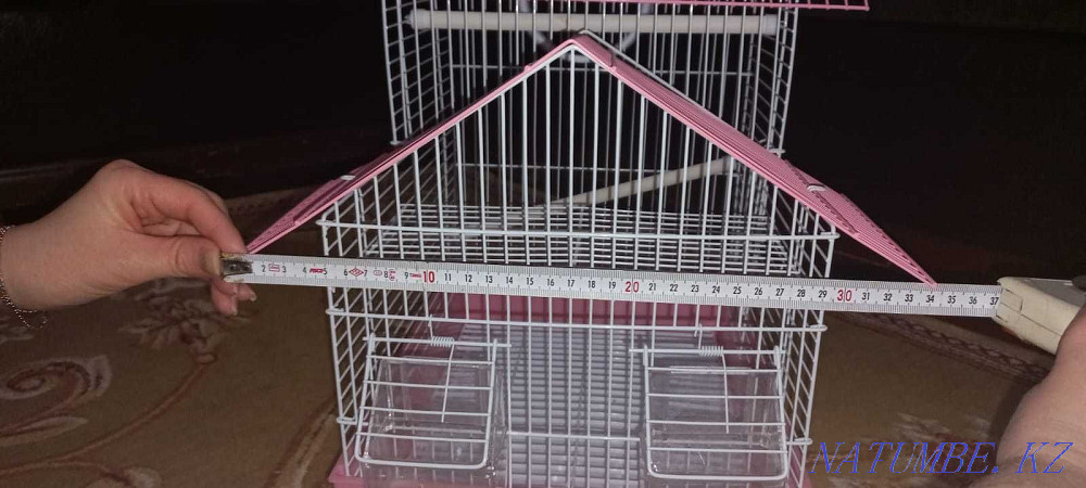 2 жаңа тотықұс торы  Алматы - изображение 3