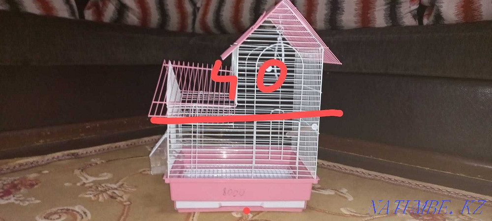 2 жаңа тотықұс торы  Алматы - изображение 4