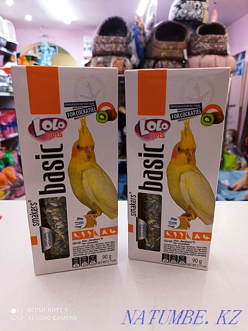 Sticks for medium parrots Astana - photo 1