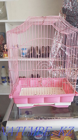 bird cage canaries parrots etc Байзак - photo 2