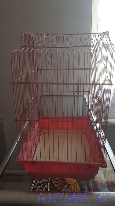 құс торы канариялар тотықұстар т.б Байзак - изображение 1