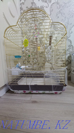 Клетка для Попугаев Астана - изображение 4
