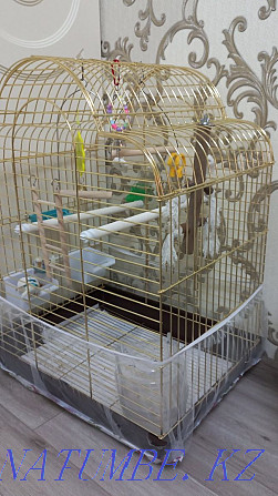 Клетка для Попугаев Астана - изображение 2