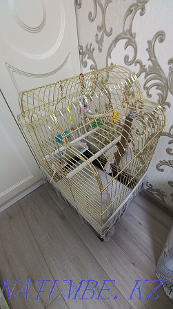 Cage for Parrots Astana - photo 1
