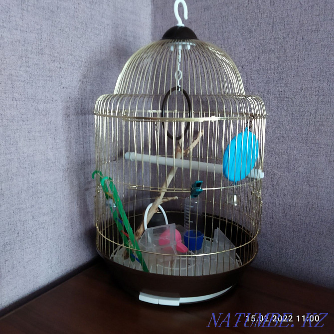 Cage for parrots. Нуркен - photo 1