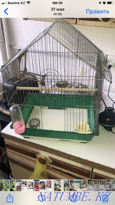 Клетка бу попугаям Алматы - изображение 1