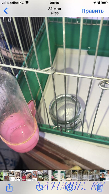 Клетка бу попугаям Алматы - изображение 3